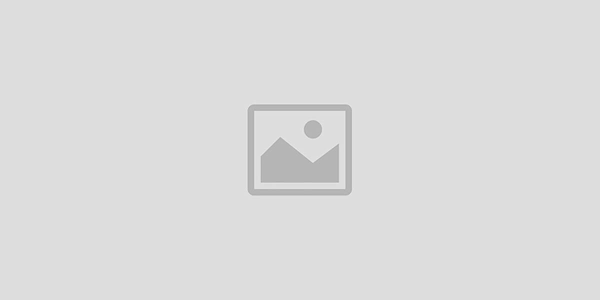 BidOnPro